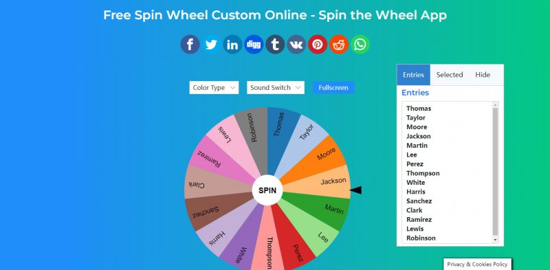Spin Wheel Custom
